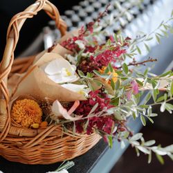 アルジェントの写真6枚目