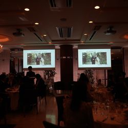 アルジェントの写真17枚目