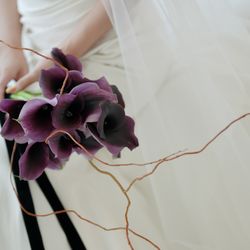 アルジェントの写真13枚目