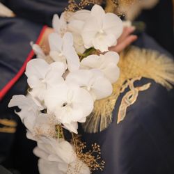 アルジェントの写真3枚目