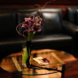 アルジェントの写真32枚目