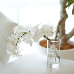 アルジェントの写真2枚目