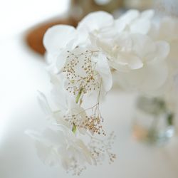 アルジェントの写真5枚目