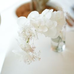 アルジェントの写真8枚目