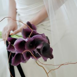 アルジェントの写真14枚目