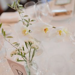 アルジェントの写真18枚目