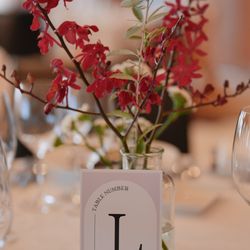 アルジェントの写真17枚目