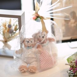 アルジェントの写真20枚目