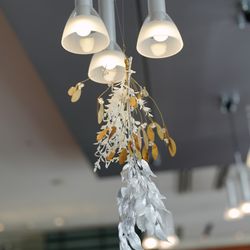 アルジェントの写真22枚目