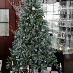 アルジェントの写真20枚目