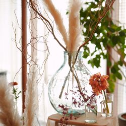 アルジェントの写真3枚目