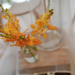 アルジェントの写真32枚目