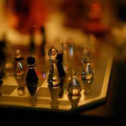 アルジェントの写真14枚目