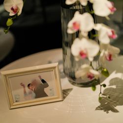 アルジェントの写真16枚目