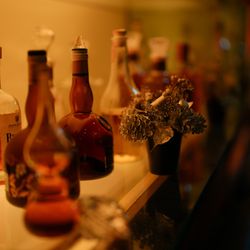 アルジェントの写真29枚目