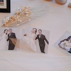 アルジェントの写真19枚目