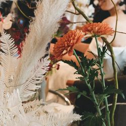 アルジェントの写真15枚目