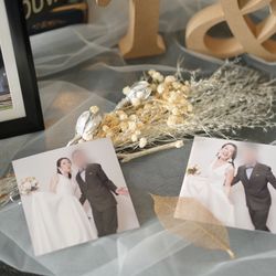 アルジェントの写真20枚目