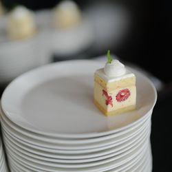 アルジェントの写真17枚目