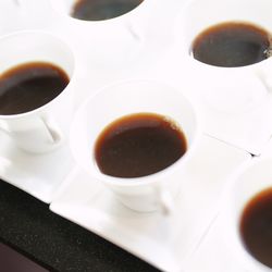 アルジェントの写真35枚目