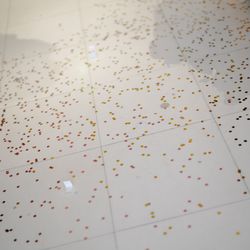 アルジェントの写真11枚目