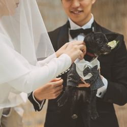 キンプトン新宿東京の写真17枚目