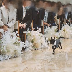 キンプトン新宿東京の写真18枚目