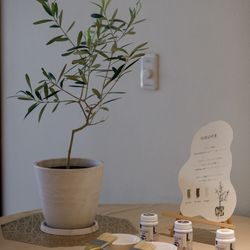 SOLA KOBEの写真1枚目