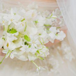 ザ ストリングス 表参道の写真33枚目