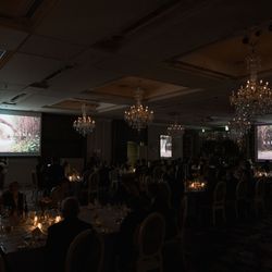 ザ ストリングス 表参道の写真12枚目