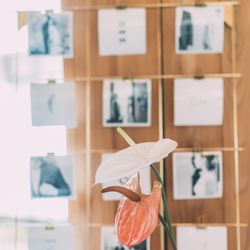 鶴見ノ森 迎賓館の写真19枚目