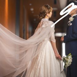 アルジェントの写真21枚目