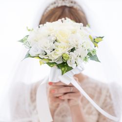 アルジェントの写真31枚目