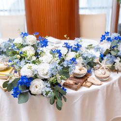 アルジェントの写真13枚目