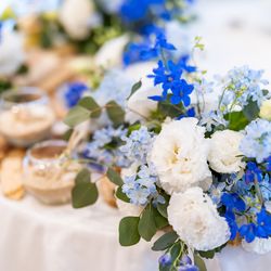 アルジェントの写真10枚目