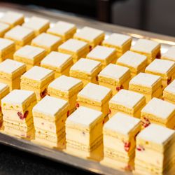 アルジェントの写真30枚目