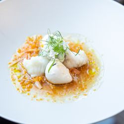 アルジェントの写真14枚目