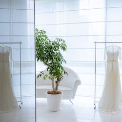 アルジェントの写真28枚目