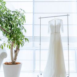 アルジェントの写真4枚目