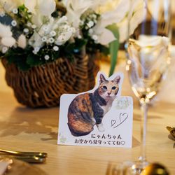 ampersand By LAGUNAVEIL ATELIERの写真26枚目