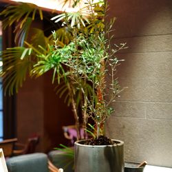 ザ・カワブンナゴヤの写真31枚目