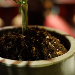 ザ・カワブンナゴヤの写真20枚目