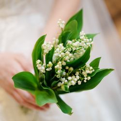 ザ・カワブンナゴヤの写真13枚目