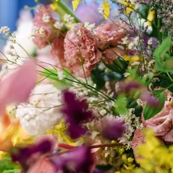 ザ・カワブンナゴヤの写真21枚目