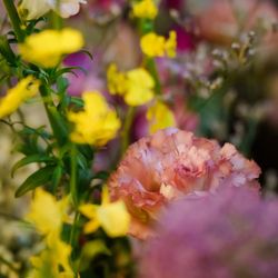 ザ・カワブンナゴヤの写真5枚目