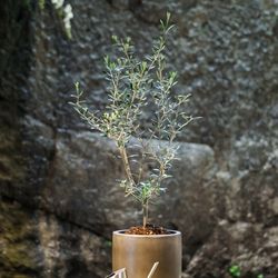 ザ・カワブンナゴヤの写真19枚目