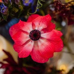 キンプトン新宿東京の写真31枚目