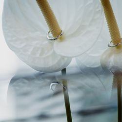 キンプトン新宿東京の写真31枚目