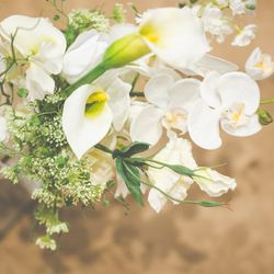 トリフォーリアNAGOYAの写真32枚目