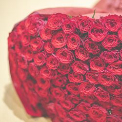 トリフォーリアNAGOYAの写真3枚目